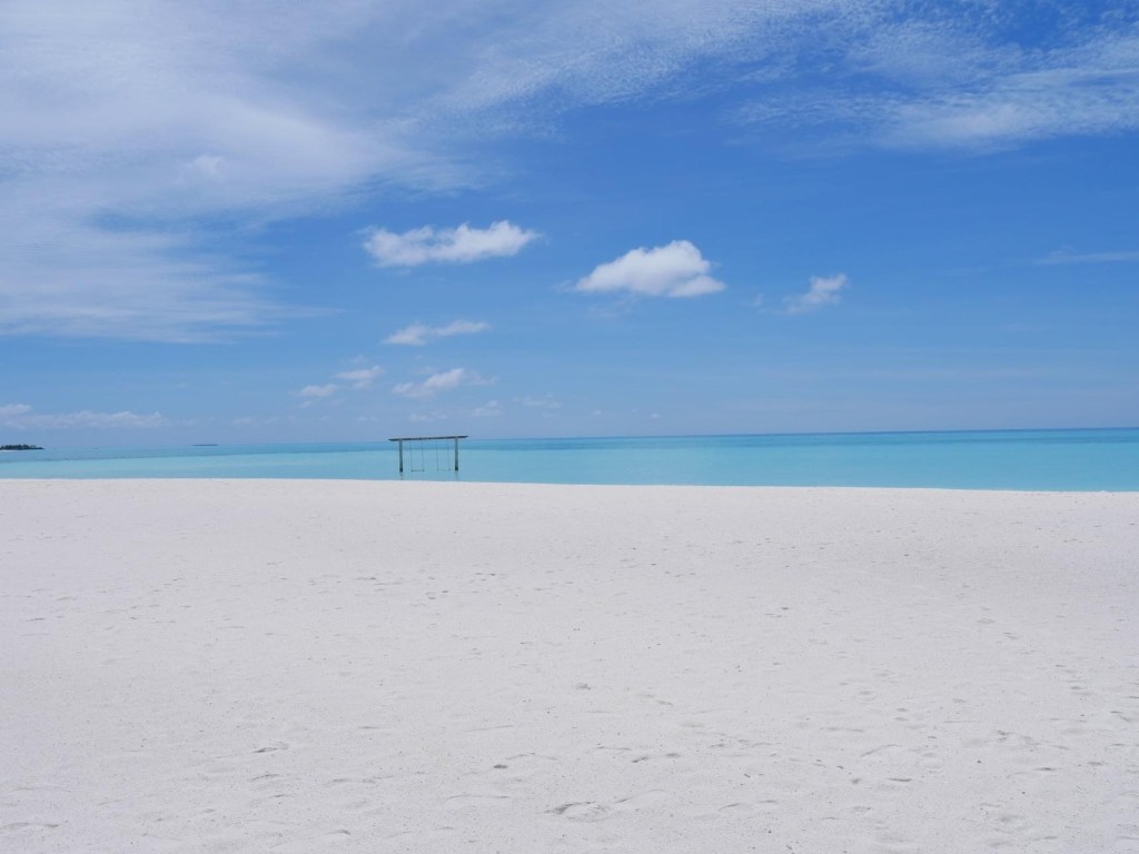 Episode 0. ALIVE AND AWAKE