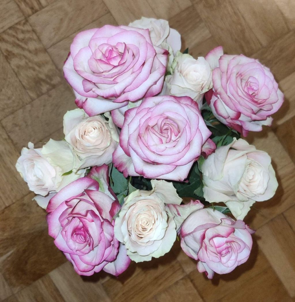 Episode 5. Social anxiety or can we see each other next week?